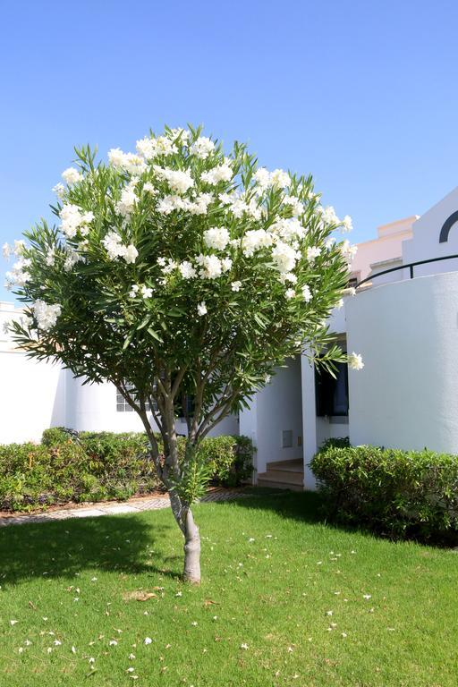 Cabana Da Ria Cabanas De Tavira Eksteriør bilde
